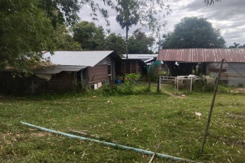Terrain à Ubon Ratchathani, Thaïlande 16000 m2 № 156884 - photo 11