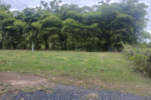 Terrain à Ubon Ratchathani, Thaïlande 16000 m2 № 156884 - photo 13