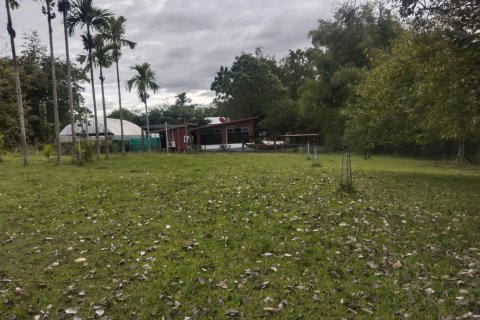 Terrain à Ubon Ratchathani, Thaïlande 16000 m2 № 156884 - photo 10