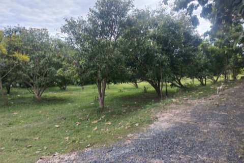 Terrain à Ubon Ratchathani, Thaïlande 16000 m2 № 156884 - photo 7