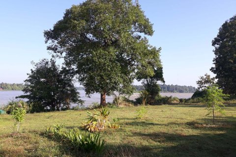 Terrain à Ubon Ratchathani, Thaïlande 16000 m2 № 156884 - photo 2