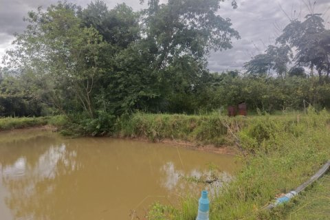 Terrain à Ubon Ratchathani, Thaïlande 16000 m2 № 156884 - photo 6
