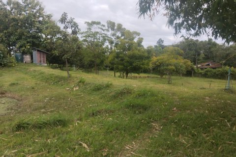 Terrain à Ubon Ratchathani, Thaïlande 16000 m2 № 156884 - photo 9
