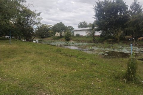 Terrain à Ubon Ratchathani, Thaïlande 16000 m2 № 156884 - photo 14