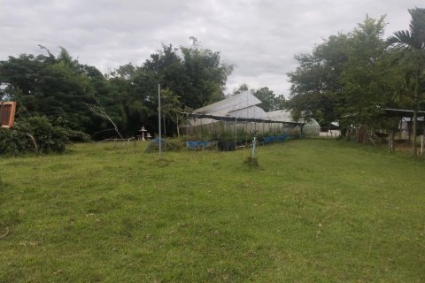 Terrain à Ubon Ratchathani, Thaïlande 16000 m2 № 156884 - photo 8