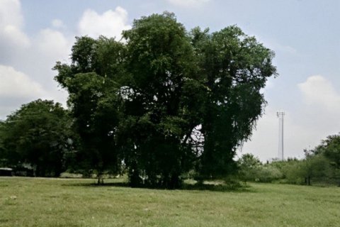 Land in Sa Kaeo, Thailand 68800 sq.m. № 173286 - photo 4