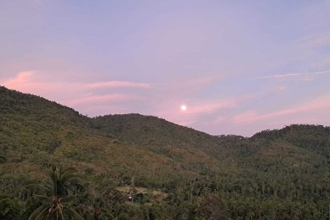 House in Ko Samui, Thailand 4 bedrooms № 164559 - photo 3