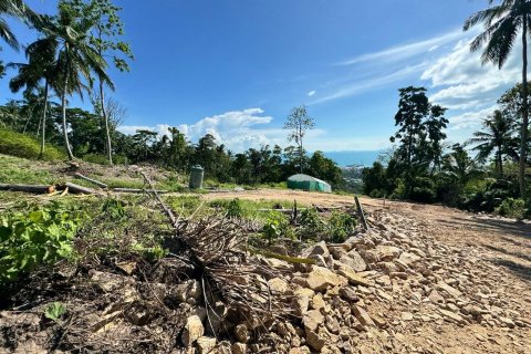 Terrain à Ko Samui, Thaïlande 3200 m2 № 164555 - photo 7