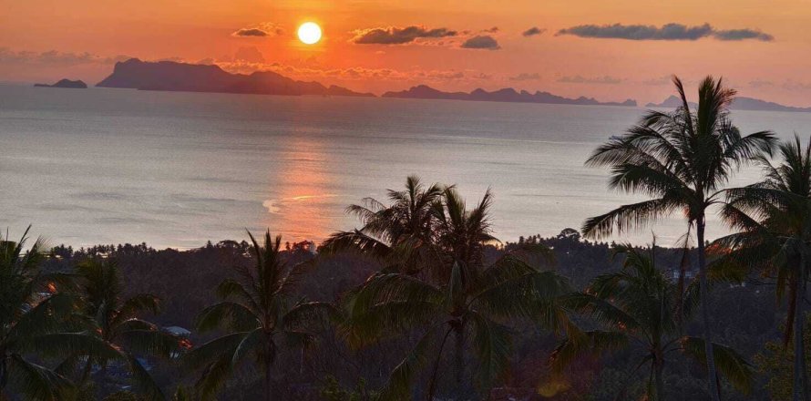 Terrain à Ko Samui, Thaïlande 3200 m2 № 164555
