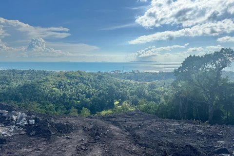 Terrain à Ko Samui, Thaïlande 3200 m2 № 164555 - photo 13