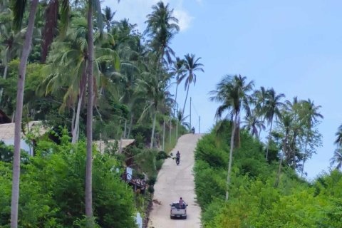 Terrain à Ko Samui, Thaïlande 3200 m2 № 164555 - photo 3