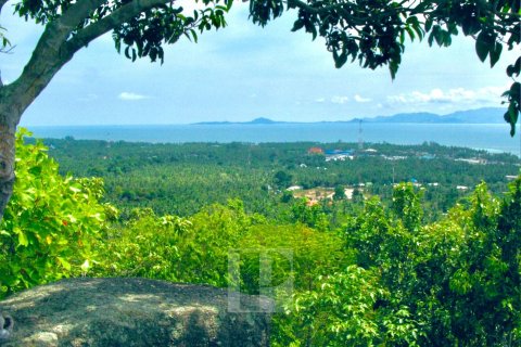 Terrain à Surat Thani, Thaïlande 31552 m2 № 154693 - photo 3