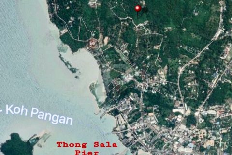 Terrain à Surat Thani, Thaïlande 31552 m2 № 154693 - photo 10