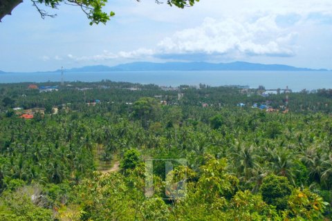 Terrain à Surat Thani, Thaïlande 31552 m2 № 154693 - photo 4