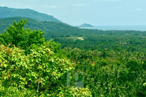 Terrain à Surat Thani, Thaïlande 31552 m2 № 154693 - photo 9