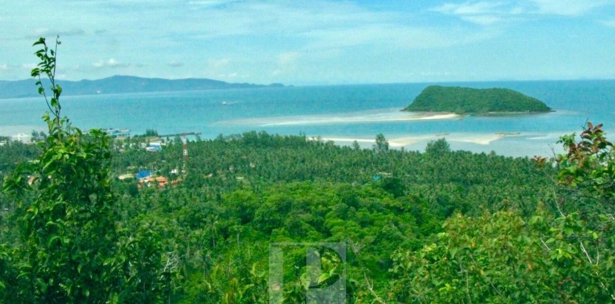 Terrain à Surat Thani, Thaïlande 31552 m2 № 154693