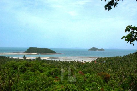 Terrain à Surat Thani, Thaïlande 31552 m2 № 154693 - photo 5