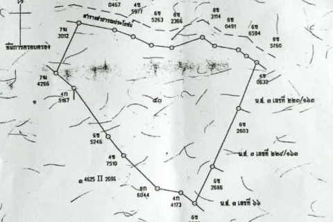 Земельный участок в Май Кхао, Таиланд 25700м2  № 152956 - фото 5