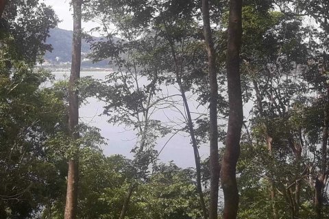 Land in Kathu, Thailand 28800 sq.m. № 159191 - photo 3