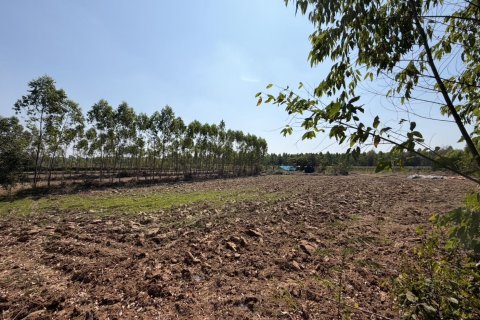 Land in Prachinburi, Thailand 82412 sq.m. № 159195 - photo 6