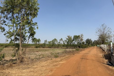 Land in Prachinburi, Thailand 82412 sq.m. № 159195 - photo 14
