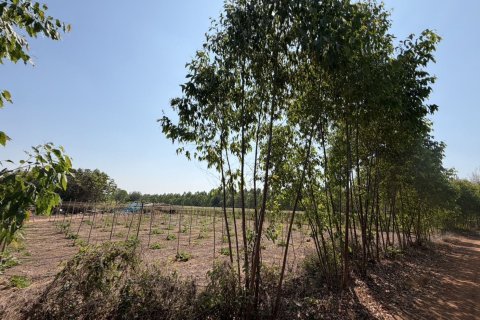 Land in Prachinburi, Thailand 82412 sq.m. № 159195 - photo 11