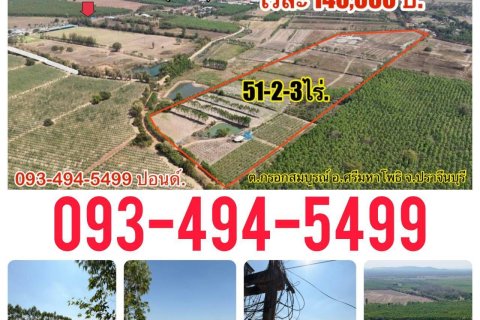 Land in Prachinburi, Thailand 82412 sq.m. № 159195 - photo 18