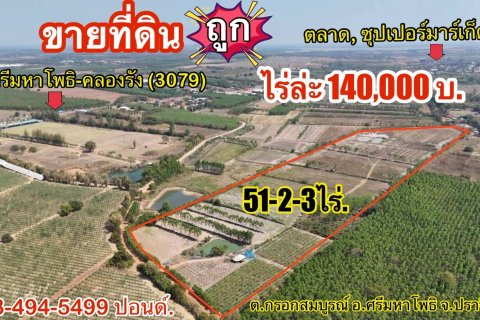 Land in Prachinburi, Thailand 82412 sq.m. № 159195