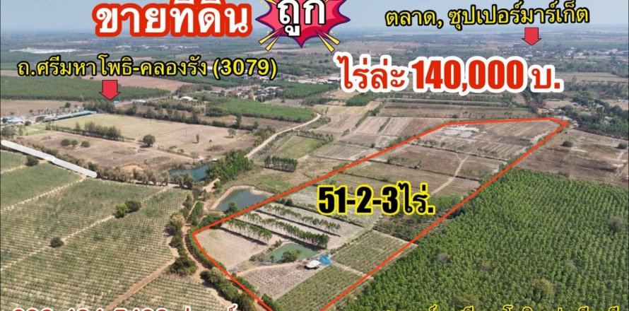 Land in Prachinburi, Thailand 82412 sq.m. № 159195