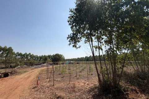 Land in Prachinburi, Thailand 82412 sq.m. № 159195 - photo 10