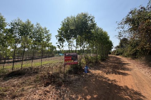 Land in Prachinburi, Thailand 82412 sq.m. № 159195 - photo 8