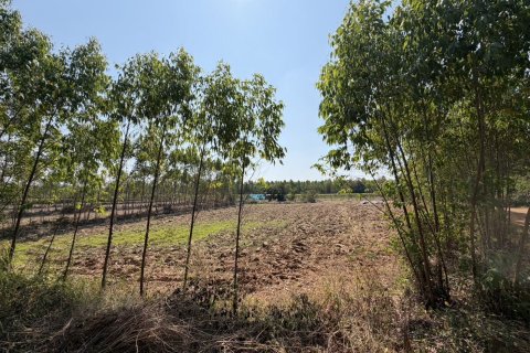 Land in Prachinburi, Thailand 82412 sq.m. № 159195 - photo 12