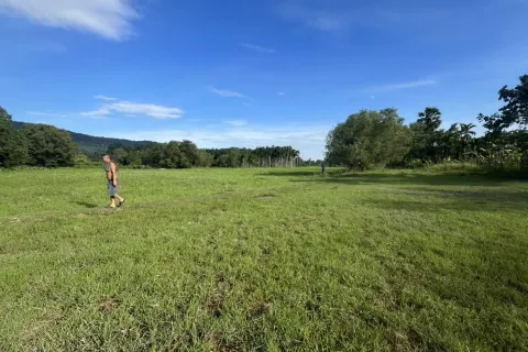 Terrain à Nakhon Nayok, Thaïlande 6400 m2 № 155135 - photo 1