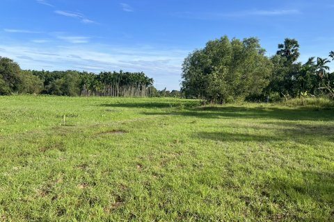Terrain à Nakhon Nayok, Thaïlande 6400 m2 № 155135 - photo 5