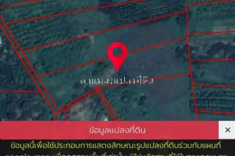 Terrain à Nakhon Nayok, Thaïlande 6400 m2 № 155135 - photo 8