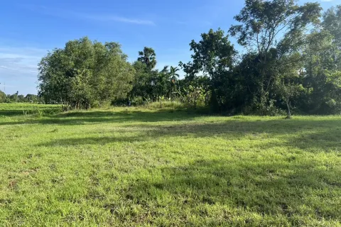 Terrain à Nakhon Nayok, Thaïlande 6400 m2 № 155135 - photo 4