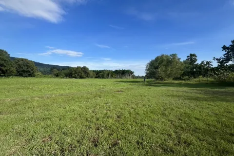 Terrain à Nakhon Nayok, Thaïlande 6400 m2 № 155135 - photo 2
