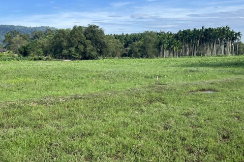 Terrain à Nakhon Nayok, Thaïlande 6400 m2 № 155135 - photo 7