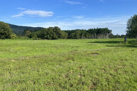 Terrain à Nakhon Nayok, Thaïlande 6400 m2 № 155135 - photo 3