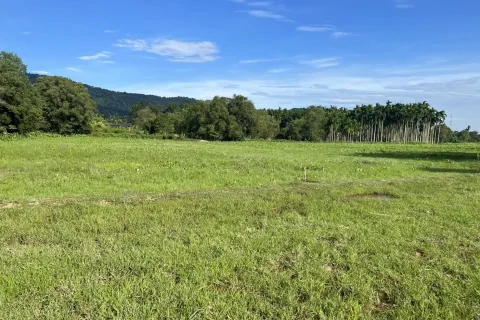 Terrain à Nakhon Nayok, Thaïlande 6400 m2 № 155135 - photo 6