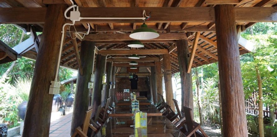 Propriété commerciale à Chiang Mai, Thaïlande 1200 m2 № 133353