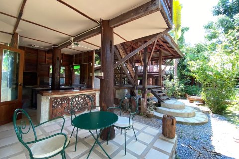 Propriété commerciale à Chiang Mai, Thaïlande 1200 m2 № 133353 - photo 21