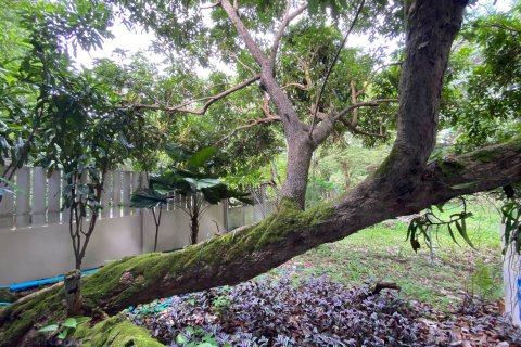 House in Chiang Mai, Thailand 2 bedrooms № 133363 - photo 22