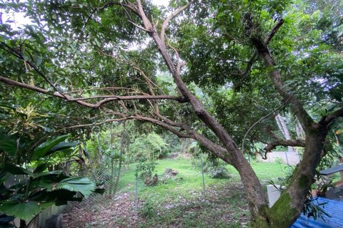 Дом в Чиангмае, Таиланд с 2 спальнями  № 133363 - фото 21