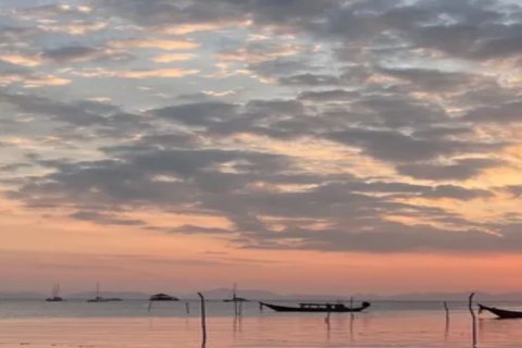 Terrain à Ko Samui, Thaïlande 1148 m2 № 163743