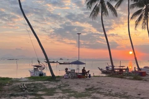 Terrain à Ko Samui, Thaïlande 1148 m2 № 163743 - photo 2