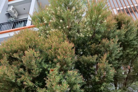 Отель в Лампанге, Таиланд  № 140096 - фото 7