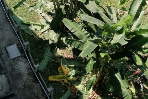 Отель в Лампанге, Таиланд  № 140096 - фото 24