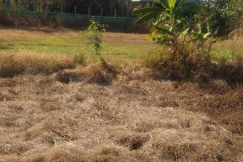 Земельный участок в Сурине, Таиланд 6400м2  № 148092 - фото 1