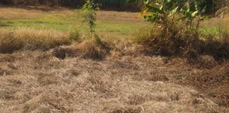 Земельный участок в Сурине, Таиланд 6400м2  № 148092